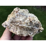 Chalcedon